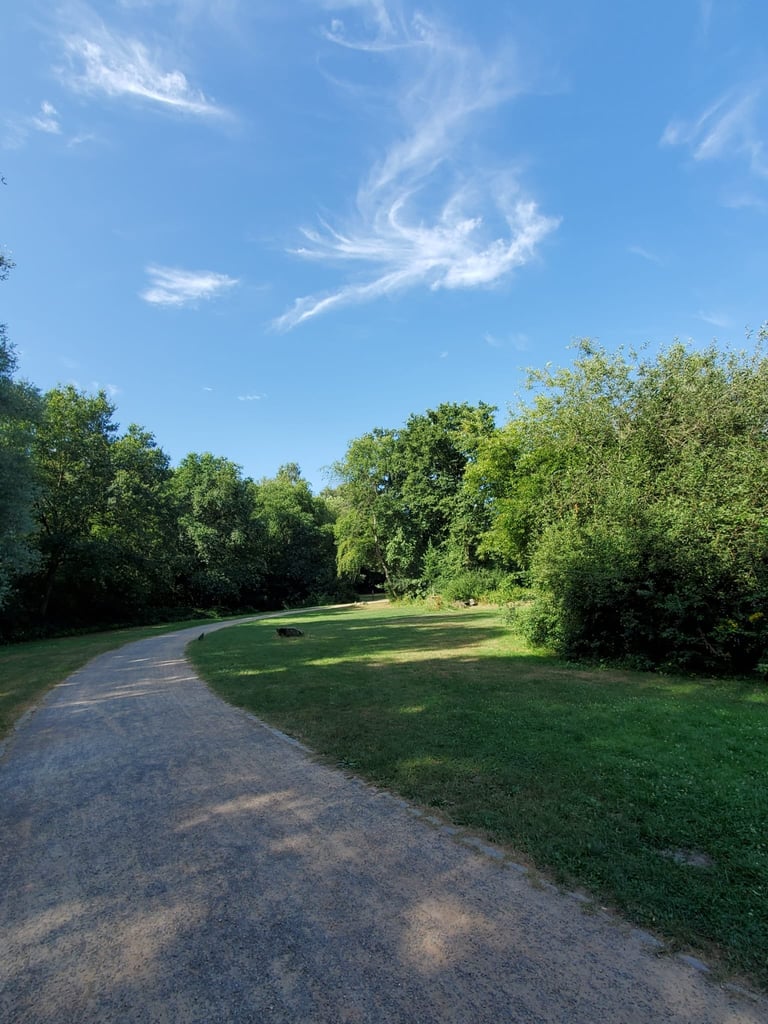 Curved paved pathway through a lush green park with trees lining both sides and blue sky with white clouds above